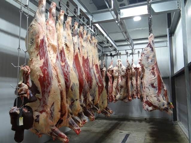 Meat and Halal